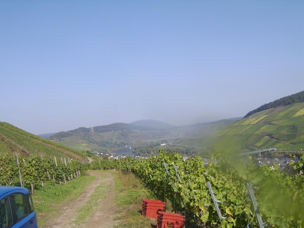 Weingut Matthias Dauns Reil Exterior foto