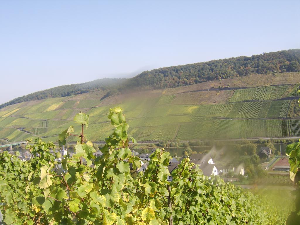 Weingut Matthias Dauns Reil Exterior foto