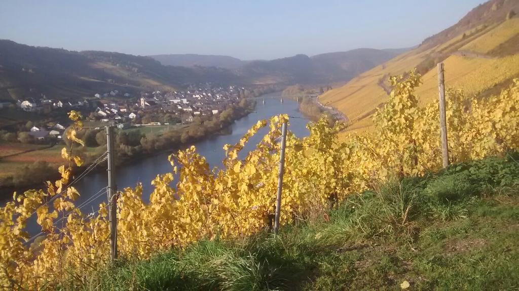 Weingut Matthias Dauns Reil Exterior foto