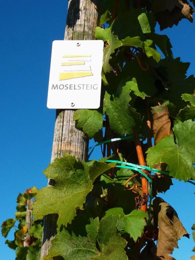 Weingut Matthias Dauns Reil Exterior foto