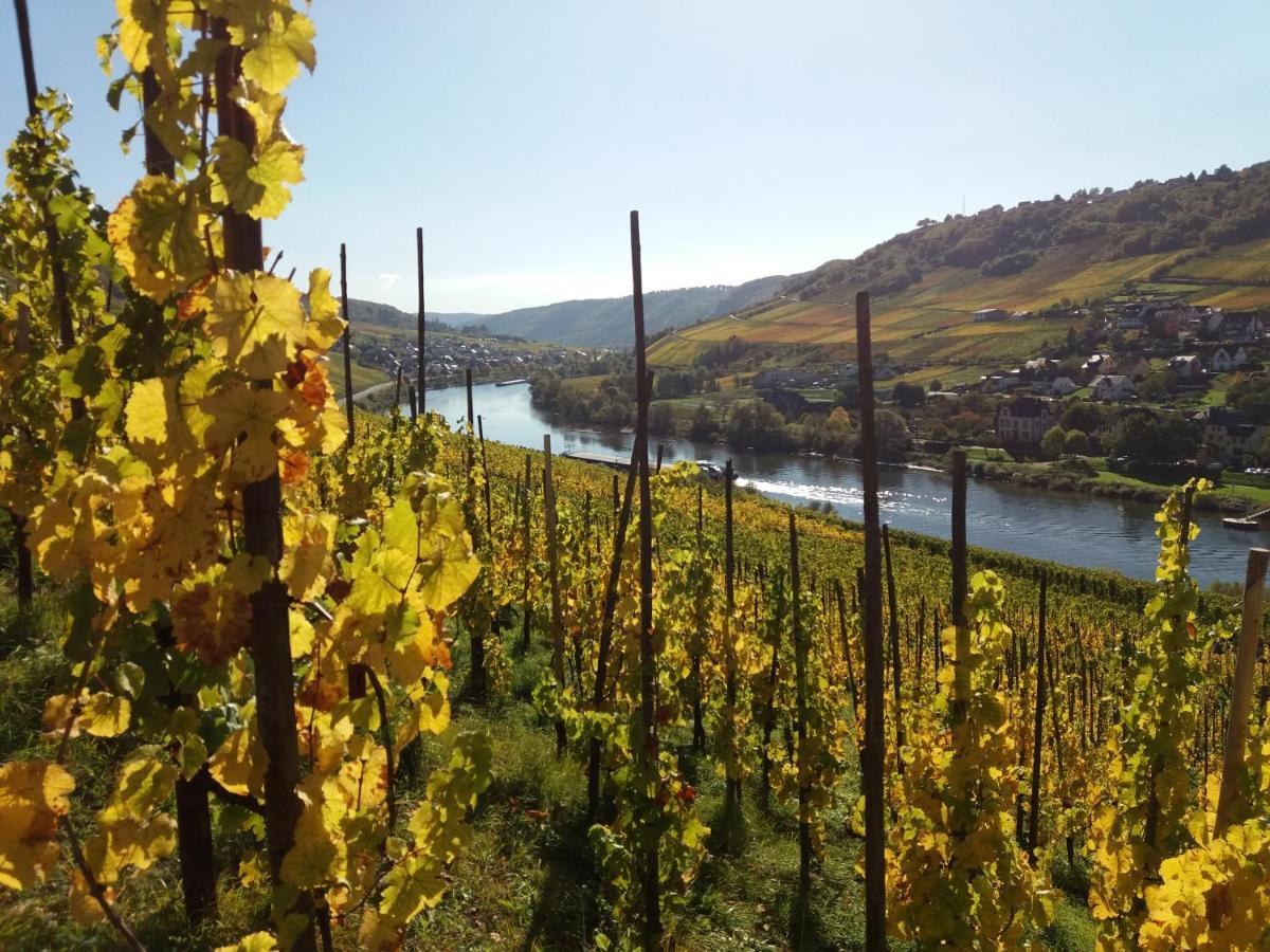 Weingut Matthias Dauns Reil Exterior foto