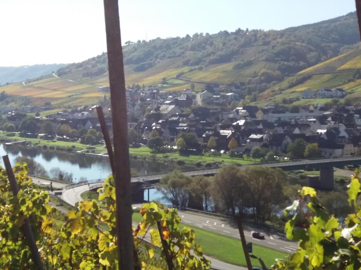Weingut Matthias Dauns Reil Exterior foto